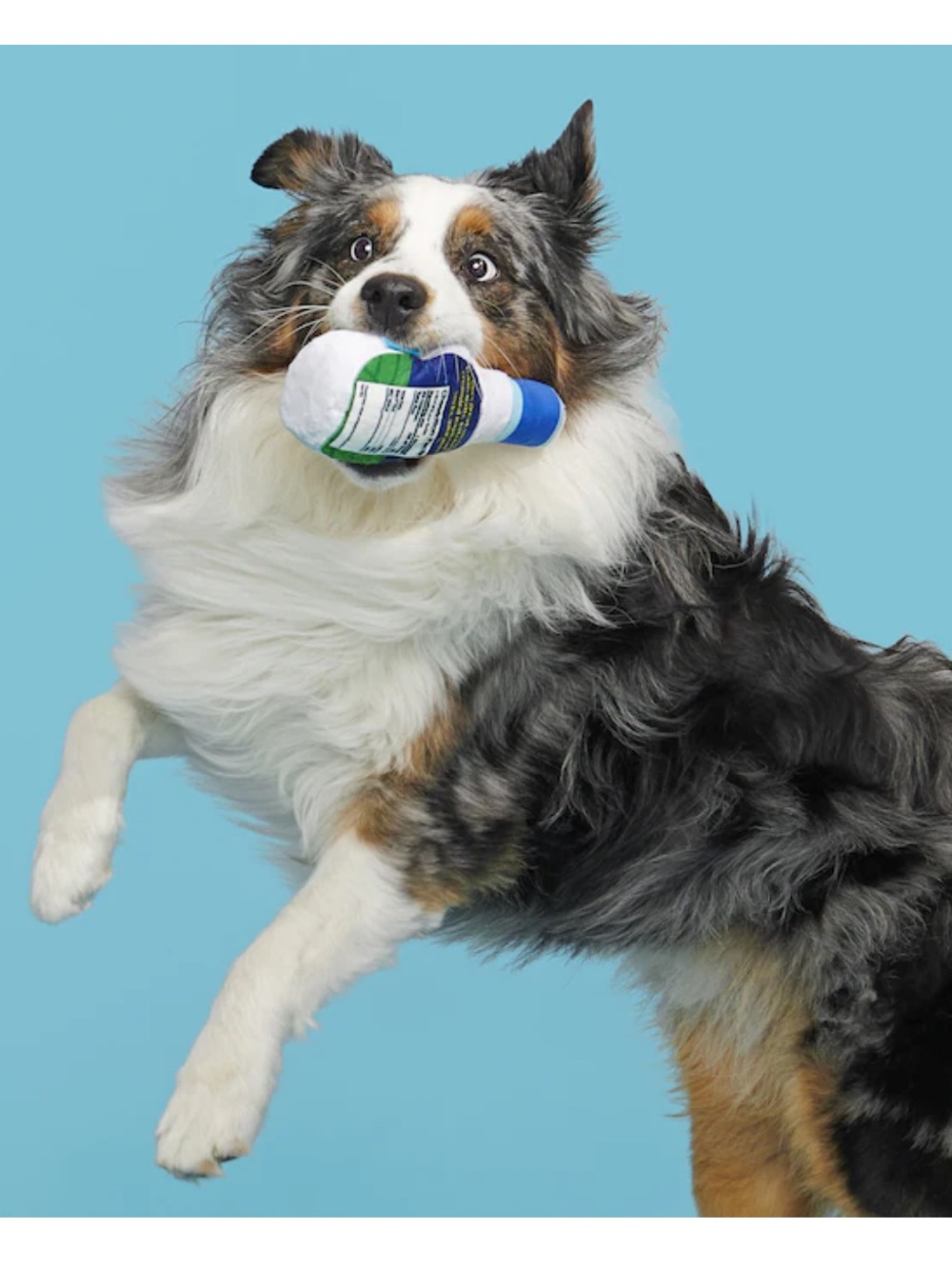 BARK Stinky Valley Ranch Dog Toy | Small/Medium | NWT - Picture 4 of 5